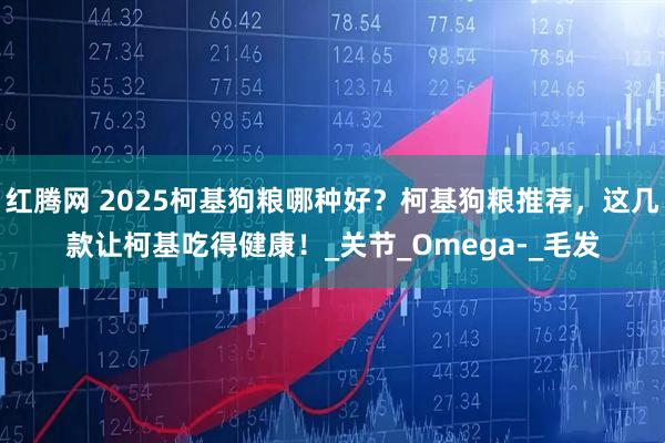 红腾网 2025柯基狗粮哪种好？柯基狗粮推荐，这几款让柯基吃得健康！_关节_Omega-_毛发