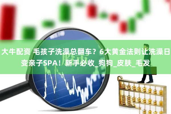 大牛配资 毛孩子洗澡总翻车？6大黄金法则让洗澡日变亲子SPA！新手必收_狗狗_皮肤_毛发