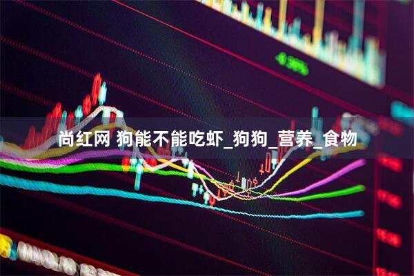 尚红网 狗能不能吃虾_狗狗_营养_食物