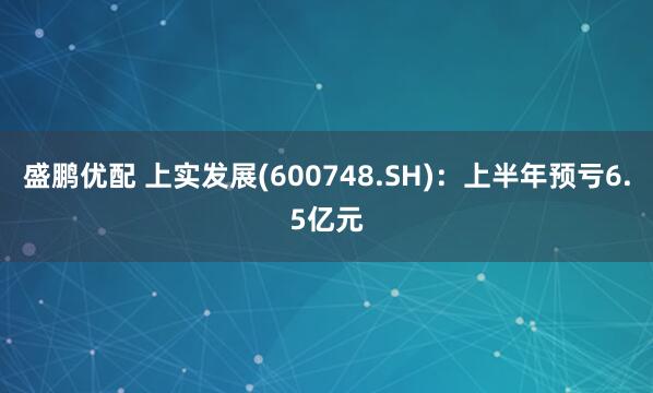 盛鹏优配 上实发展(600748.SH)：上半年预亏6.5亿元