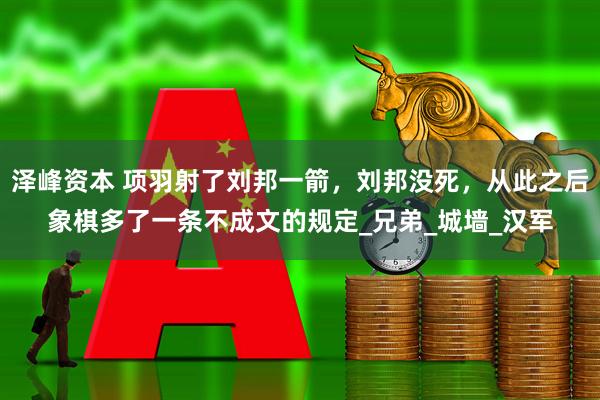 泽峰资本 项羽射了刘邦一箭，刘邦没死，从此之后象棋多了一条不成文的规定_兄弟_城墙_汉军