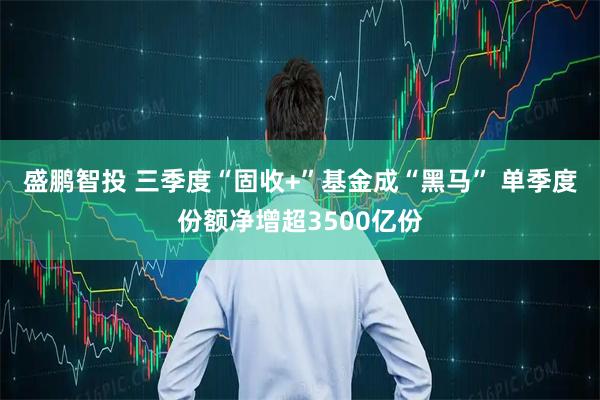 盛鹏智投 三季度“固收+”基金成“黑马” 单季度份额净增超3500亿份