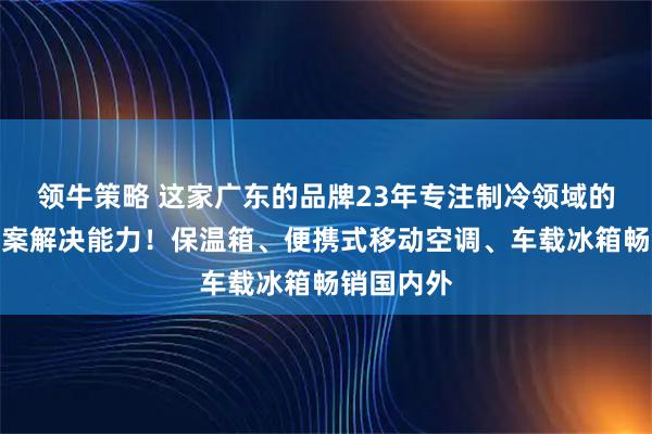 领牛策略 这家广东的品牌23年专注制冷领域的全球化方案解决能力！保温箱、便携式移动空调、车载冰箱畅销国内外