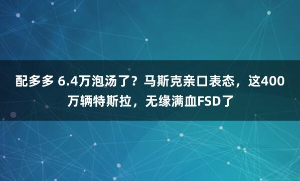 配多多 6.4万泡汤了？马斯克亲口表态，这400万辆特斯拉，无缘满血FSD了