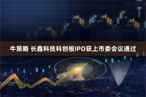 牛策略 长鑫科技科创板IPO获上市委会议通过